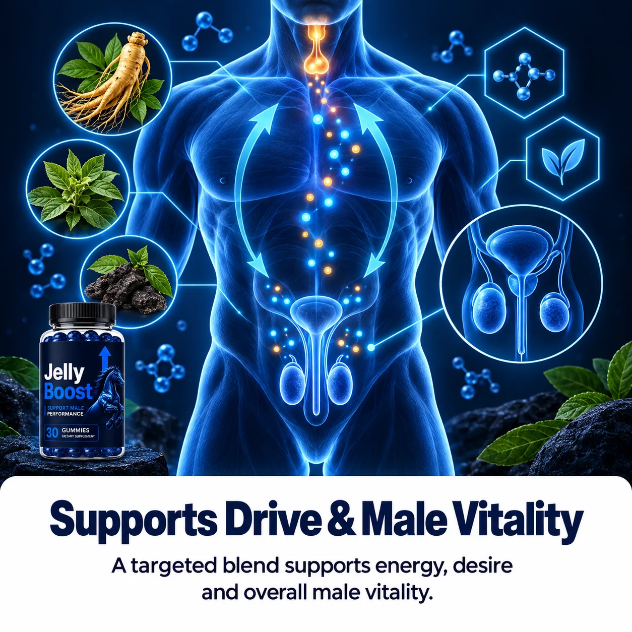 Illustration of botanicals supporting male vitality and confidence